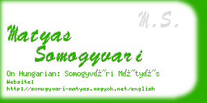 matyas somogyvari business card